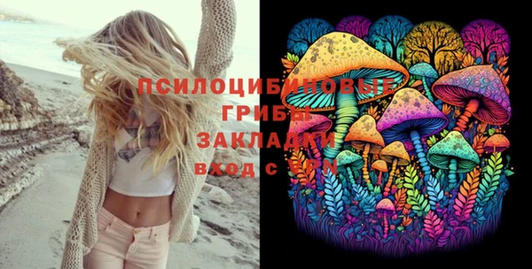 Альфа ПВП Горняк
