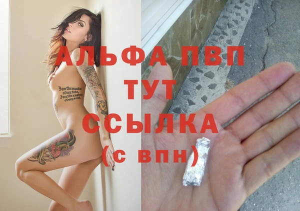 Альфа ПВП Горняк