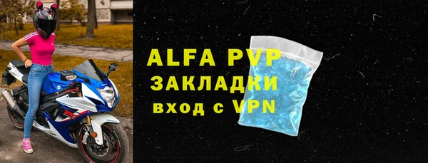 Альфа ПВП Горняк