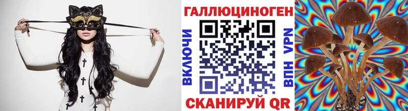 Купить где  Пущино  Псилоцибиновые грибы прущие грибы 
