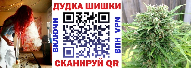 Купить где Пущино Шишки марихуана Amnesia